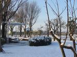 雪の公園.JPG