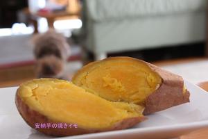 安納芋の焼きイモ.jpg