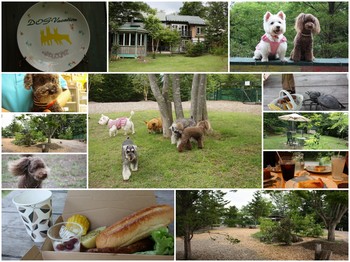 北軽井沢Dog Vacation20110724.jpg